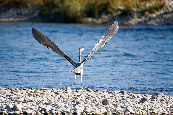 081011_POTN_CA_6_120