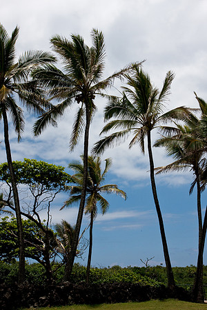 090523_Maui_049