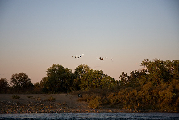 081011_POTN_CA_6_245