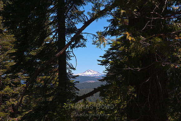 100704_4thofJuly_0014-Edit