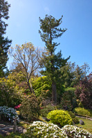 090425_POTN_153