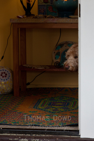 120121_Pescadero_0272