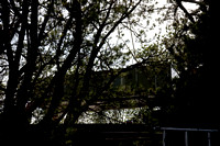 100416_NVC_0163