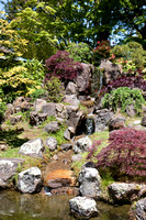 090425_POTN_129