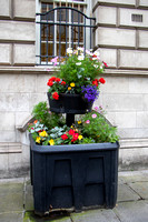 190915_BritIsles_318-3.jpg