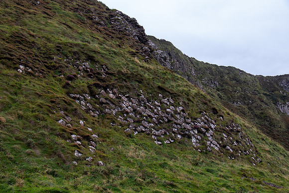 190915_BritIsles_420-2.jpg