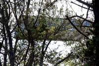 100416_NVC_0159