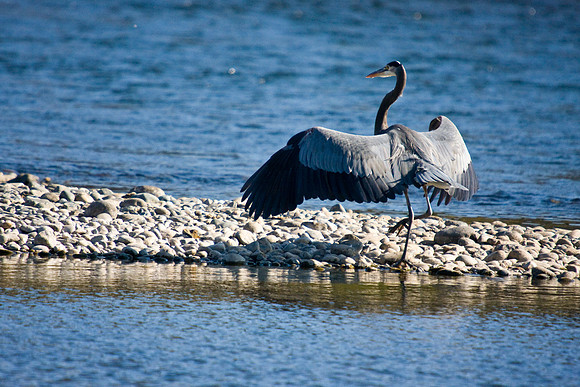 081011_POTN_CA_6_103