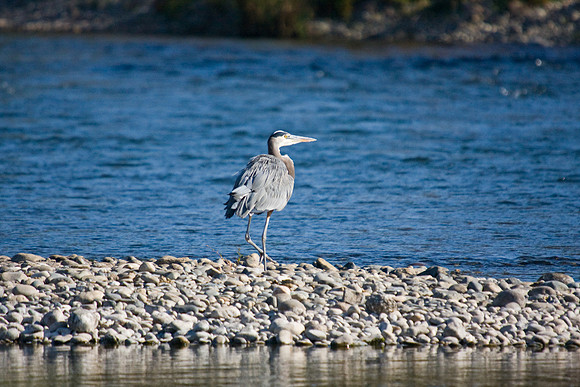 081011_POTN_CA_6_115