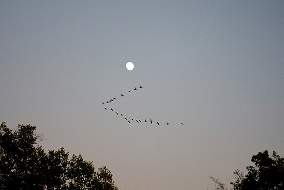 081011_POTN_CA_6_264