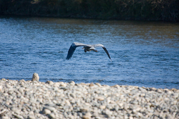 081011_POTN_CA_6_128