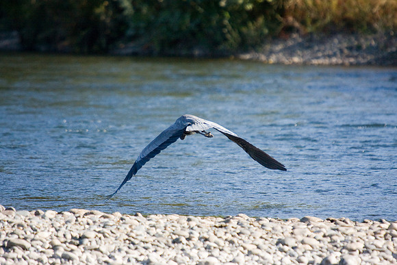081011_POTN_CA_6_123