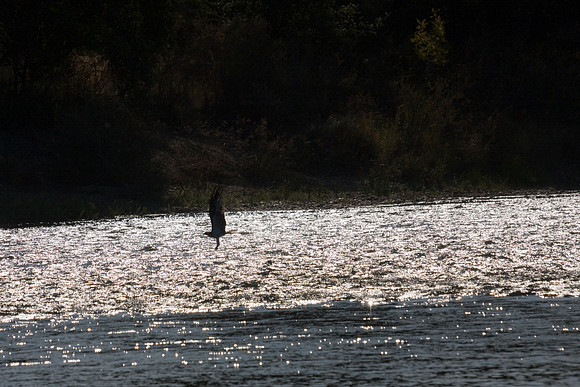 081011_POTN_CA_6_063