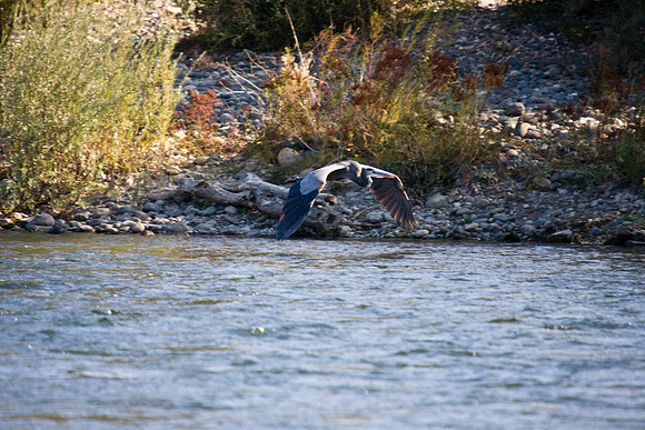 081011_POTN_CA_6_096