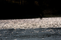 081011_POTN_CA_6_064