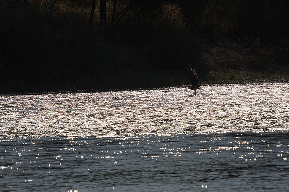 081011_POTN_CA_6_064