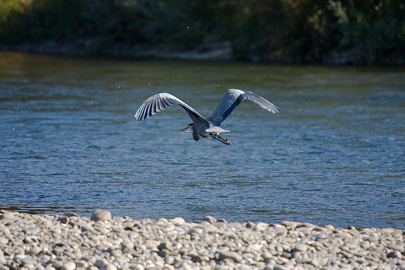 081011_POTN_CA_6_124