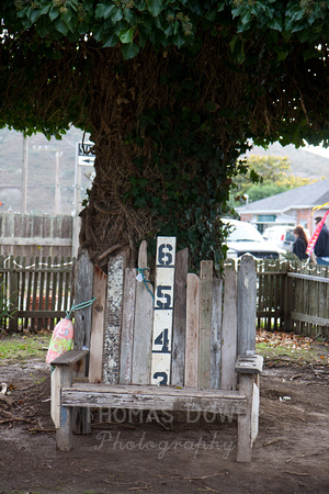 120121_Pescadero_0274