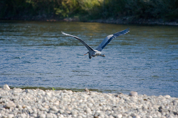 081011_POTN_CA_6_125