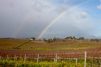 120121_Pescadero_0179