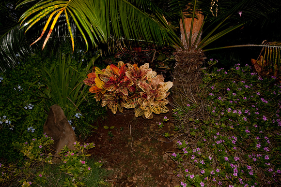 090520_Maui_235