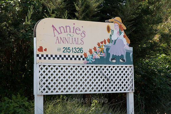 Annie's Annuals