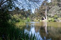 Stow Lake
