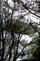 100416_NVC_0158