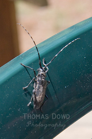 080704_4thofJuly_091