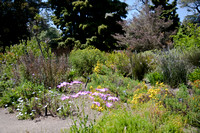 090425_POTN_297