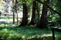 080704_4thofJuly_298
