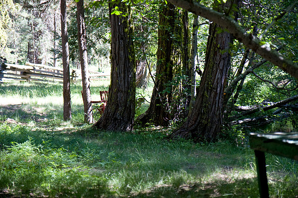 080704_4thofJuly_298