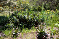 090425_POTN_311