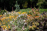 090425_POTN_305