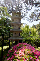 Japanese Tea Garden