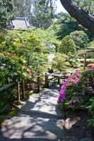 Japanese Tea Garden