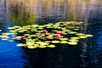081004_Cline_070