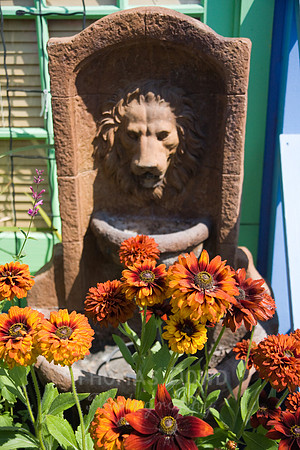 Annie's Annuals
