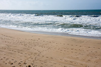120121_Pescadero_0207