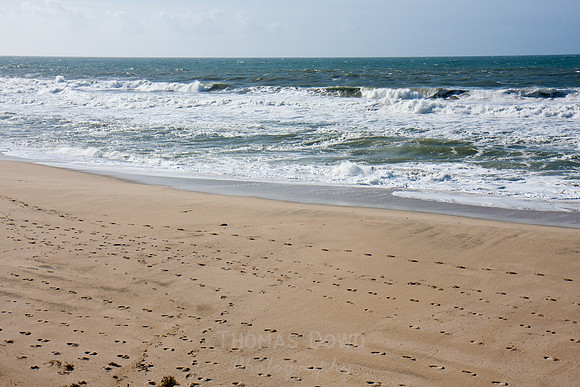 120121_Pescadero_0207