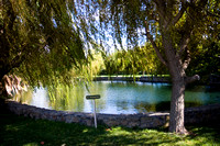 081004_Cline_028