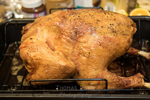 141127_Thanksgiving_054