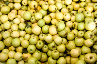Apples