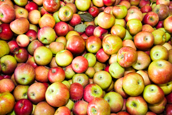 Apples