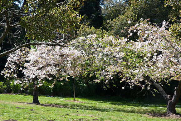 090425_POTN_322