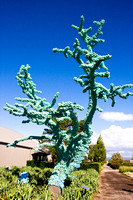 081004_Cline_061