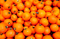 101017_PumpkinPatch_0055