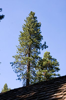 080704_4thofJuly_314