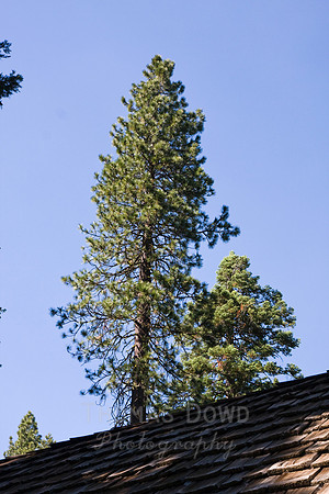 080704_4thofJuly_314