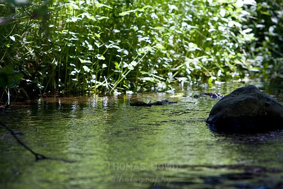 080704_4thofJuly_124